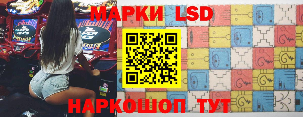 Псилоцибиновые грибы Белгород